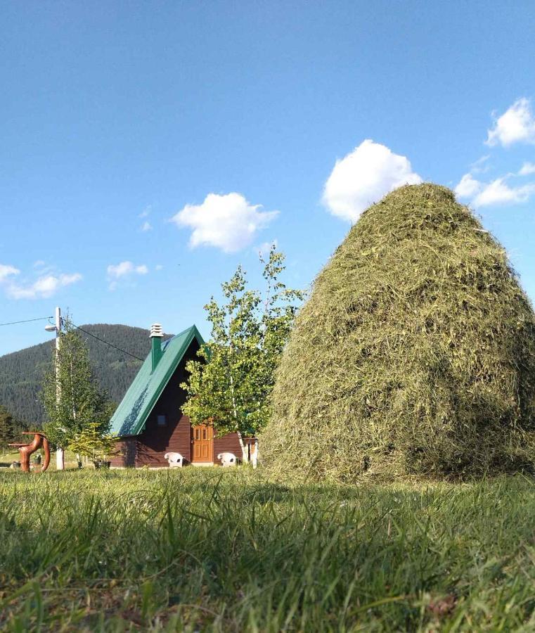 Etno Koliba Nikoleta Villa Zabljak  Exterior photo
