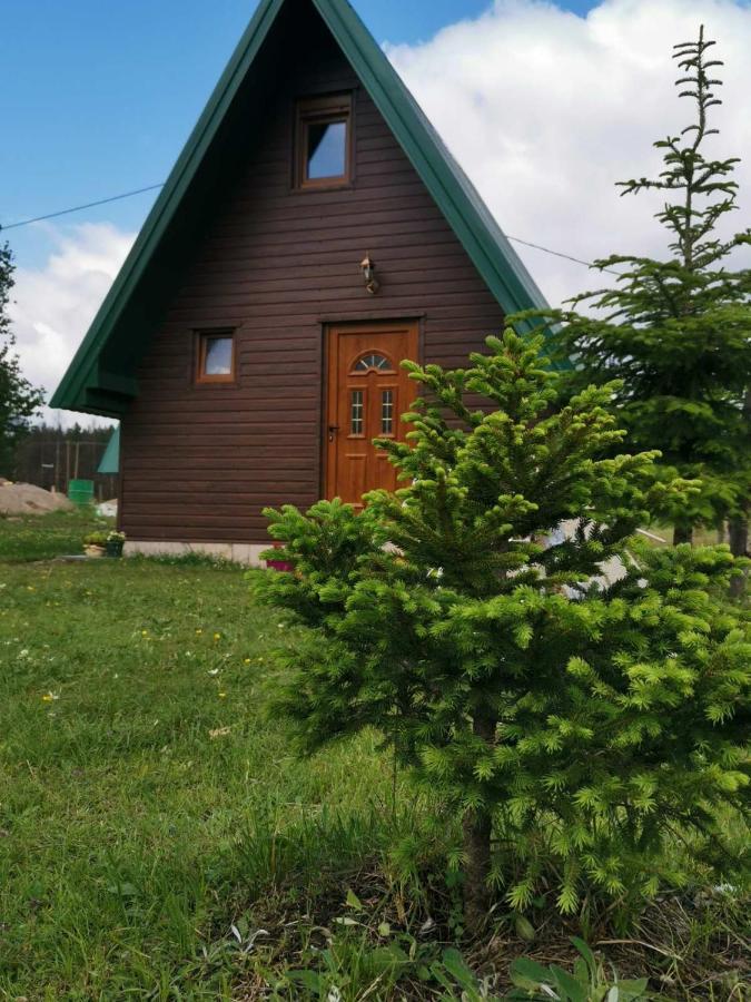 Etno Koliba Nikoleta Villa Zabljak  Exterior photo